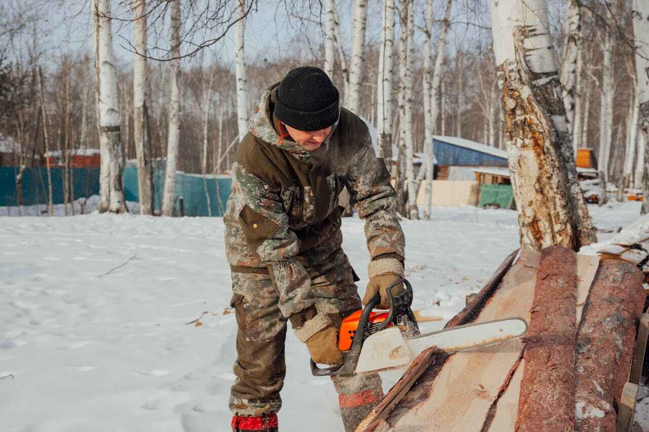 Bear Valley Springs, CA Tree Service Company